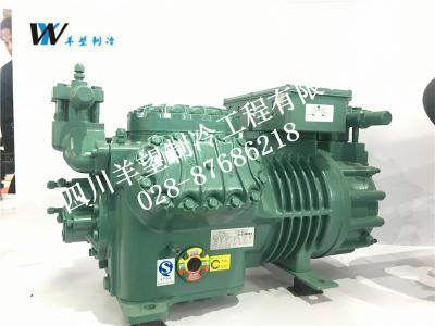 比澤爾活塞機組