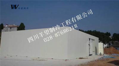 廣元市康寧種植 蔬菜儲(chǔ)藏庫(kù)